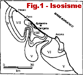 Esempio di Isosisme